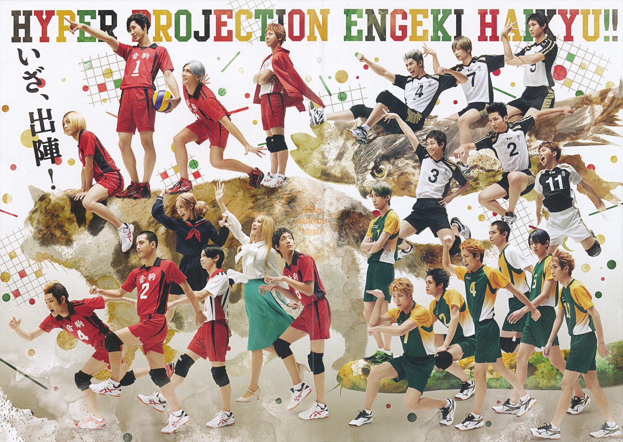 排球战术革新取得奇效，引发战术热潮的简单介绍