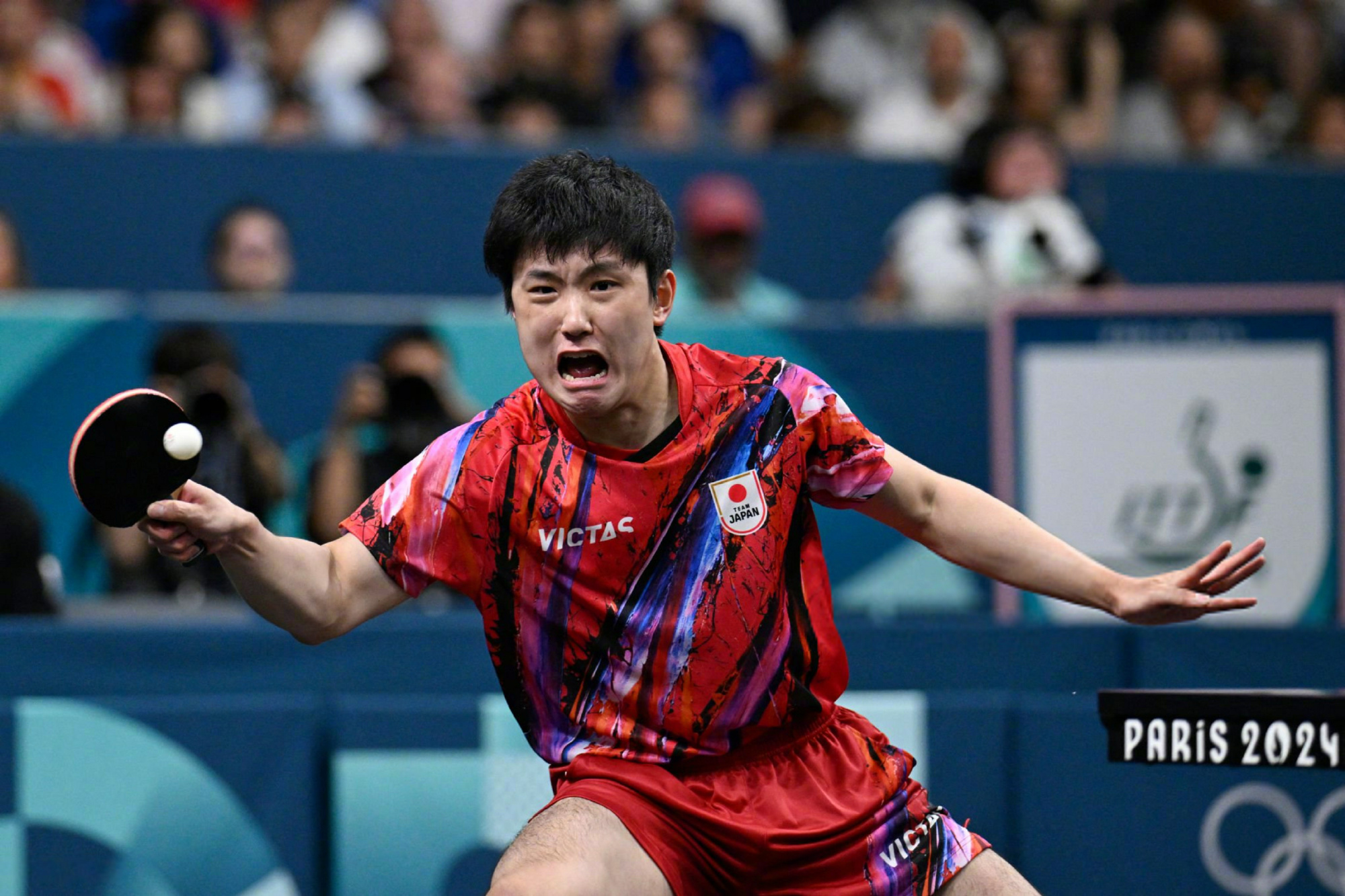 日本队鏖战法国队,张继科惊艳四座 日本队鏖战法国队,张继科惊艳四座