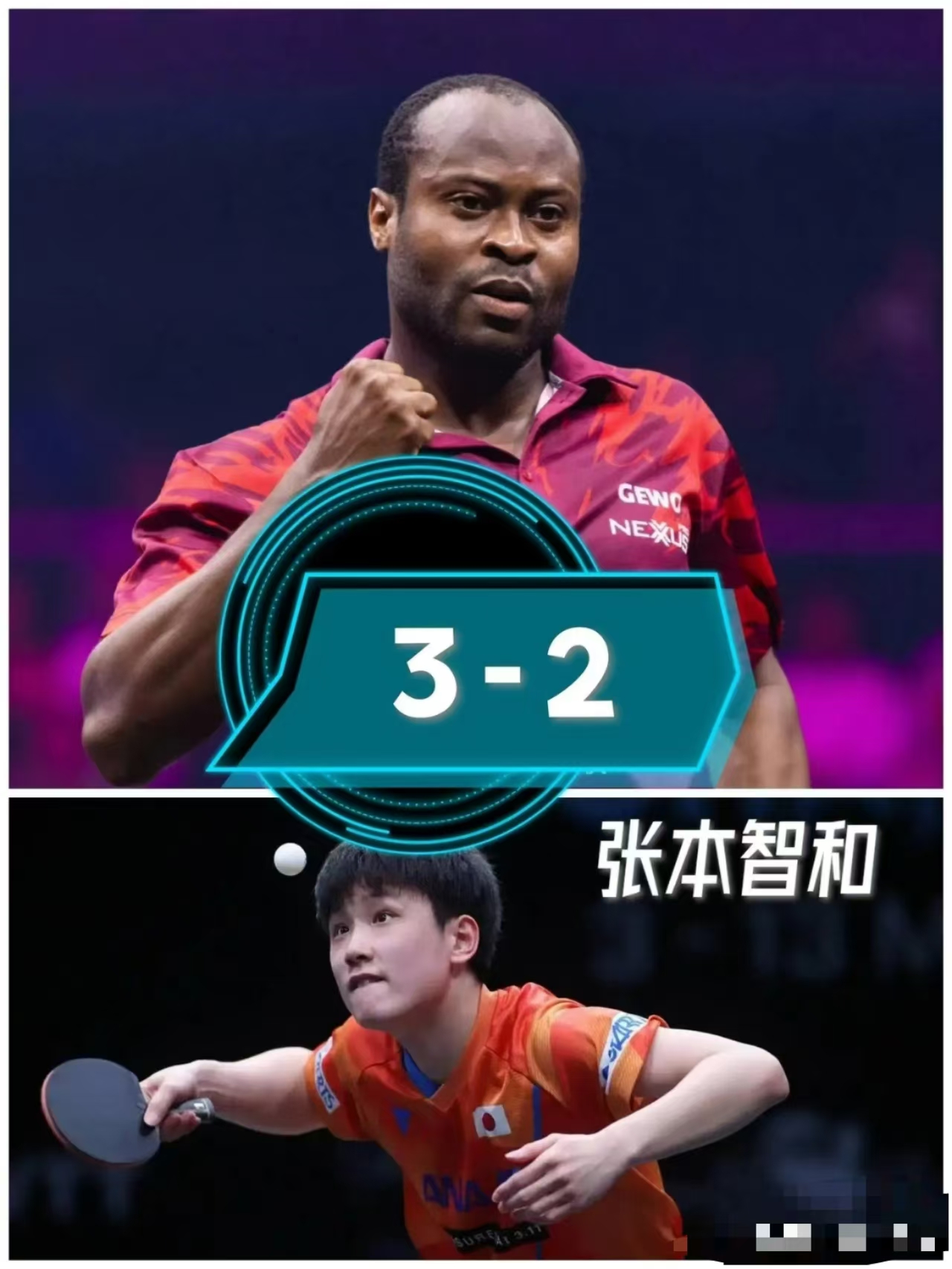 法国队横扫奥地利队，张本智和刷新纪录