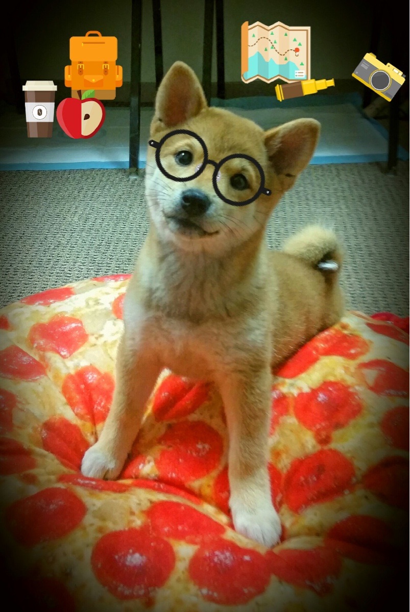 绿茵暗涌，当波斯铁骑遭遇沙漠风暴，谁在终章挥就决胜一笔？弗拉霍维奇式关键先生的跨时空启示