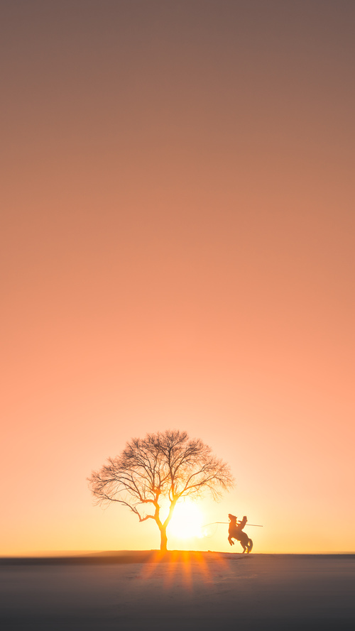 坎特回归主宰赛场，勒沃库森关键战碾碎摩洛哥防线