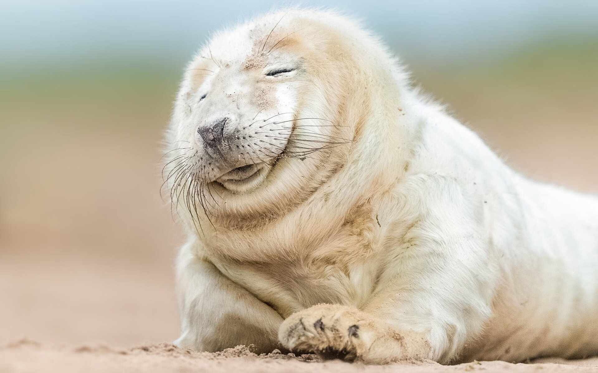 球场双城记，篮网决胜纽约，文班亚马独舞意甲