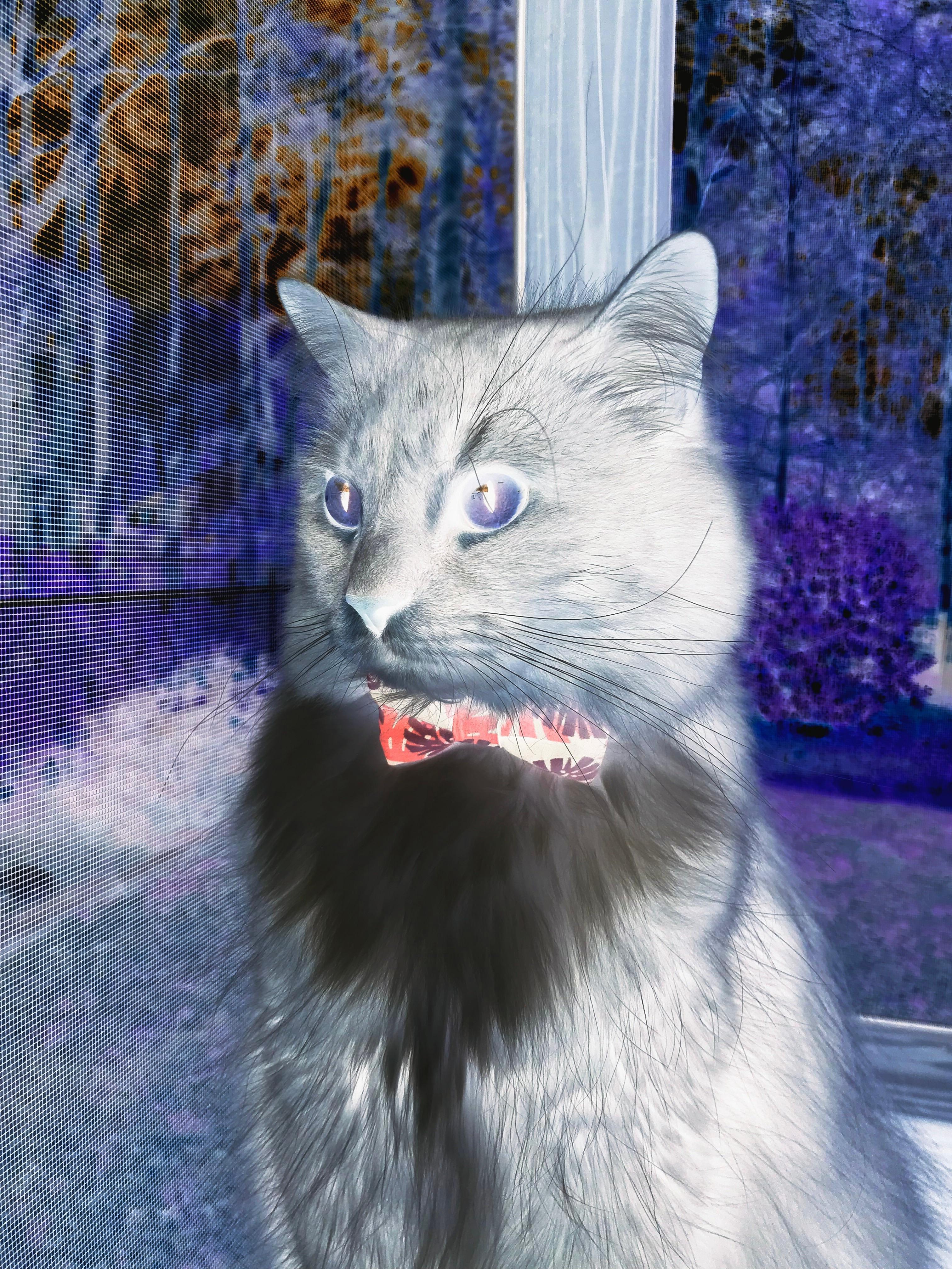 从圣保罗到弗拉基,卡塞米罗如何成为那不勒斯颠覆剧本的最后一块拼图