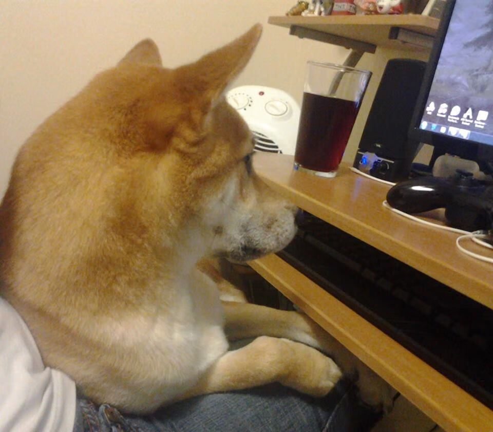 疯狂库里与冷静森林狼,两种胜利,一种声音