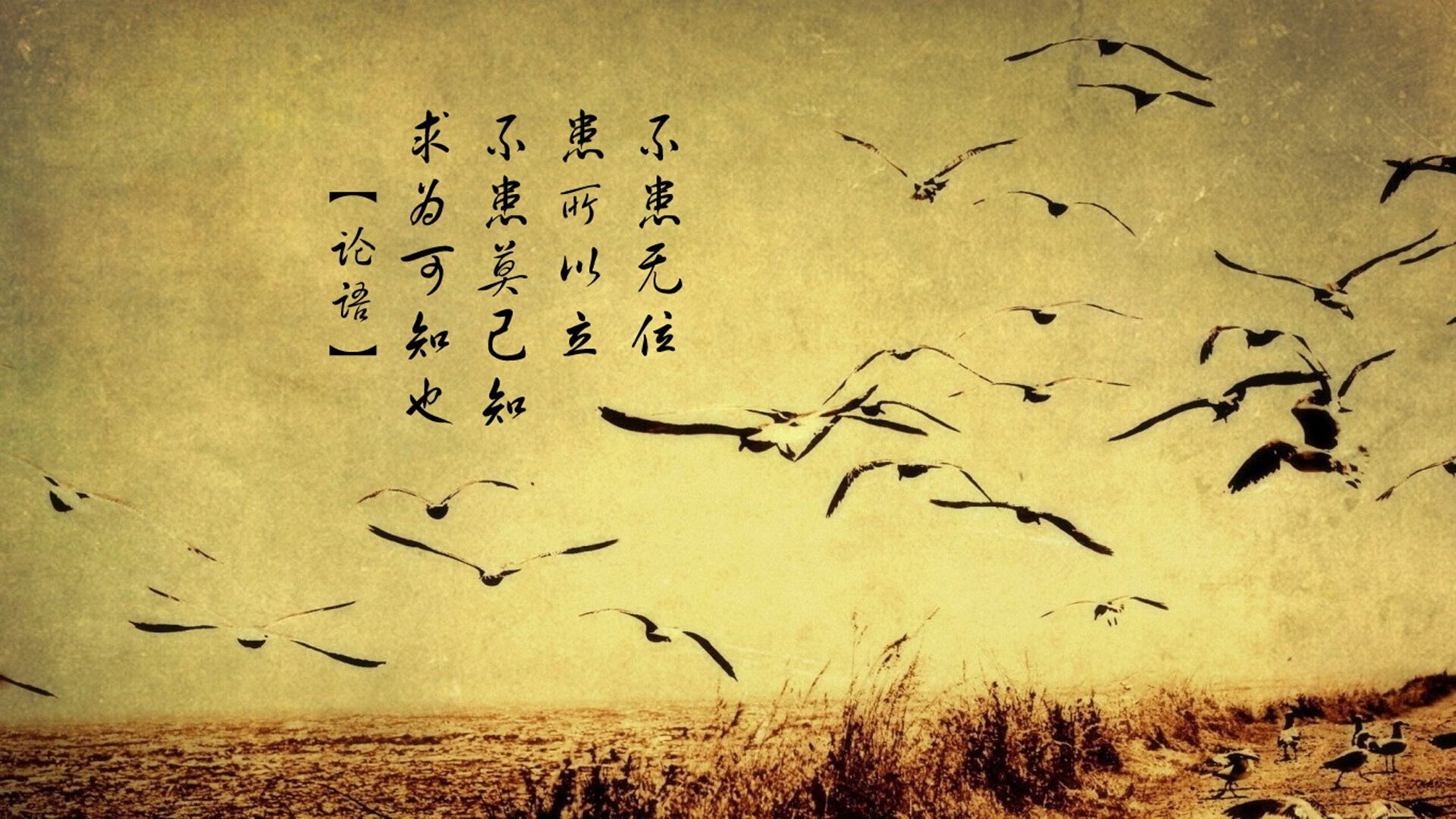 东方隐退西方闪耀,当评分拉满的哈登,遇见淘汰的骑士与山西