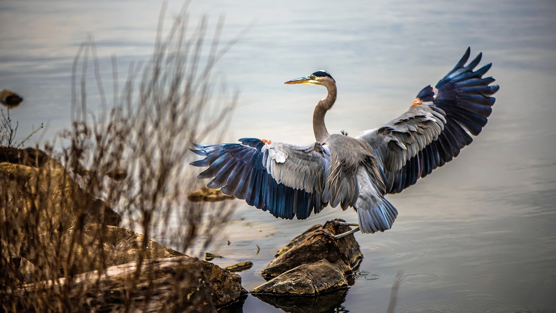 时间的暴政,当最后时刻成为唯一的神与唯一的战场
